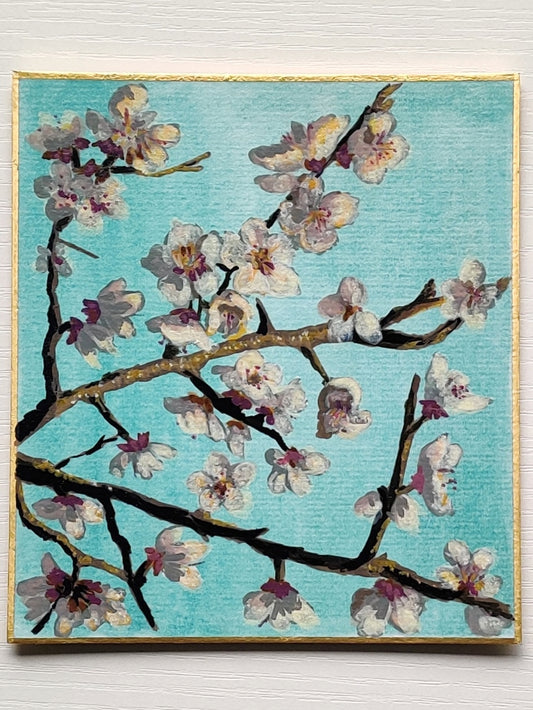 Apricot Blossoms